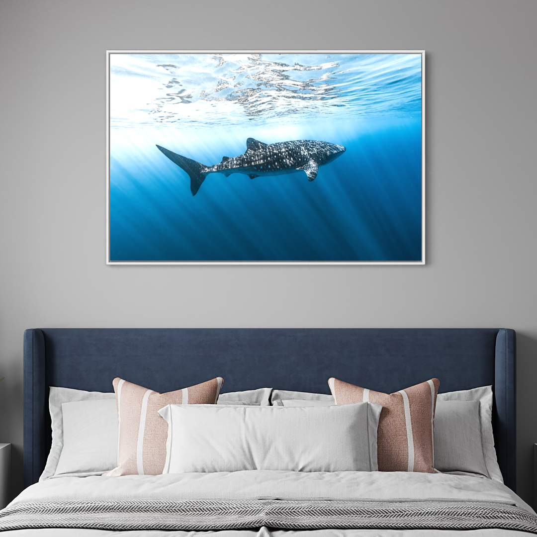 Spotted Nomad of the Sea