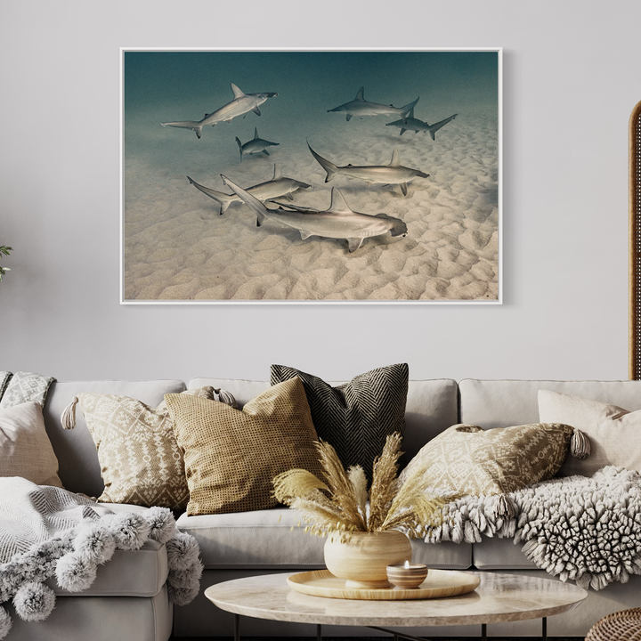 Shadows of Extinction