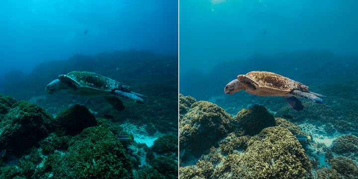 SN | Ocean Essentials Adaptive Ai Lightroom Preset Pack