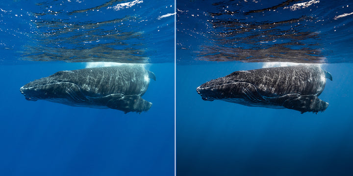 SN | Ocean Essentials Adaptive Ai Lightroom Preset Pack