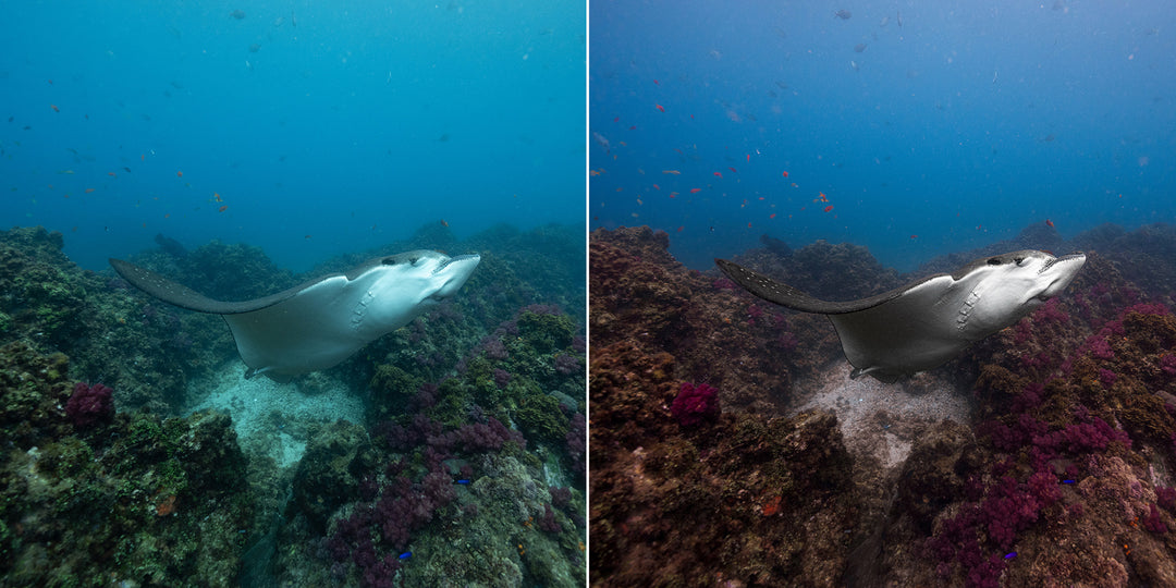 SN | Ocean Essentials Adaptive Ai Lightroom Preset Pack