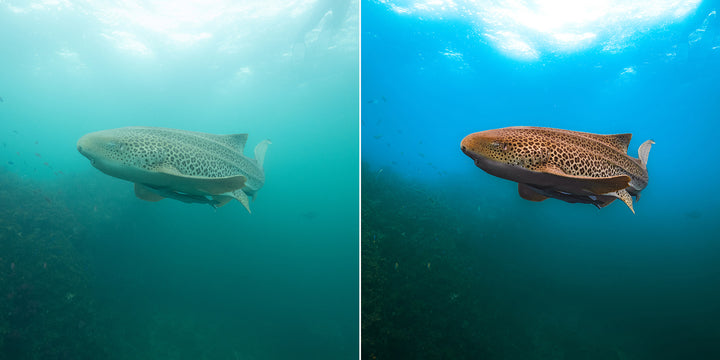 SN | Ocean Essentials Adaptive Ai Lightroom Preset Pack