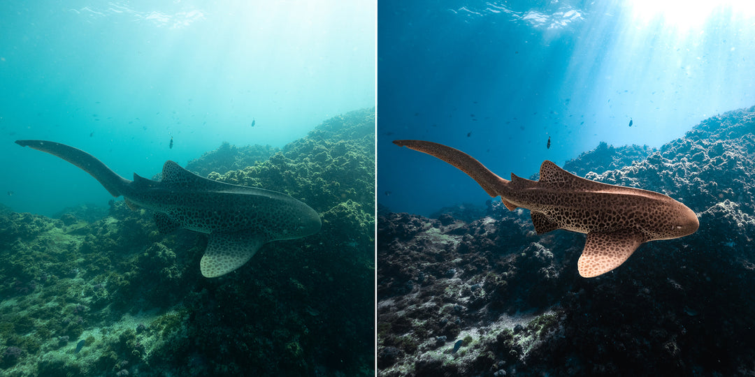 SN | Ocean Essentials Adaptive Ai Lightroom Preset Pack