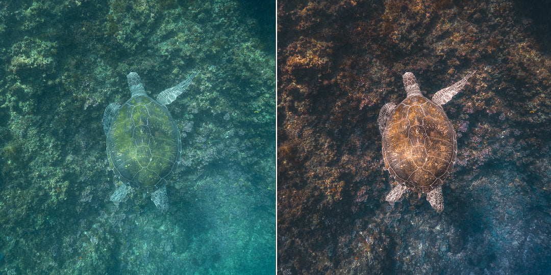 SN | Ocean Essentials Adaptive Ai Lightroom Preset Pack