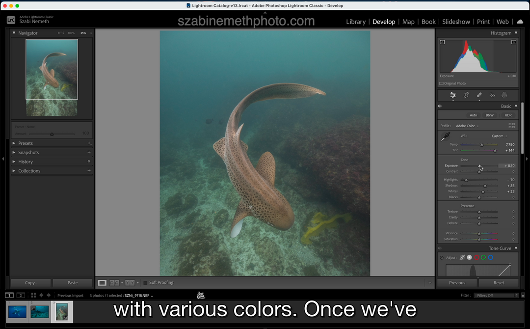 SN | Underwater Lightroom Editing Masterclass