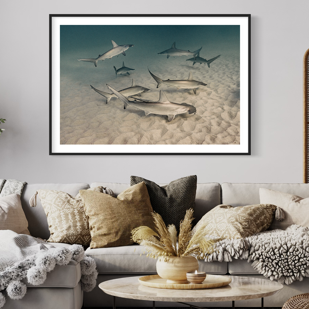 Shadows of Extinction