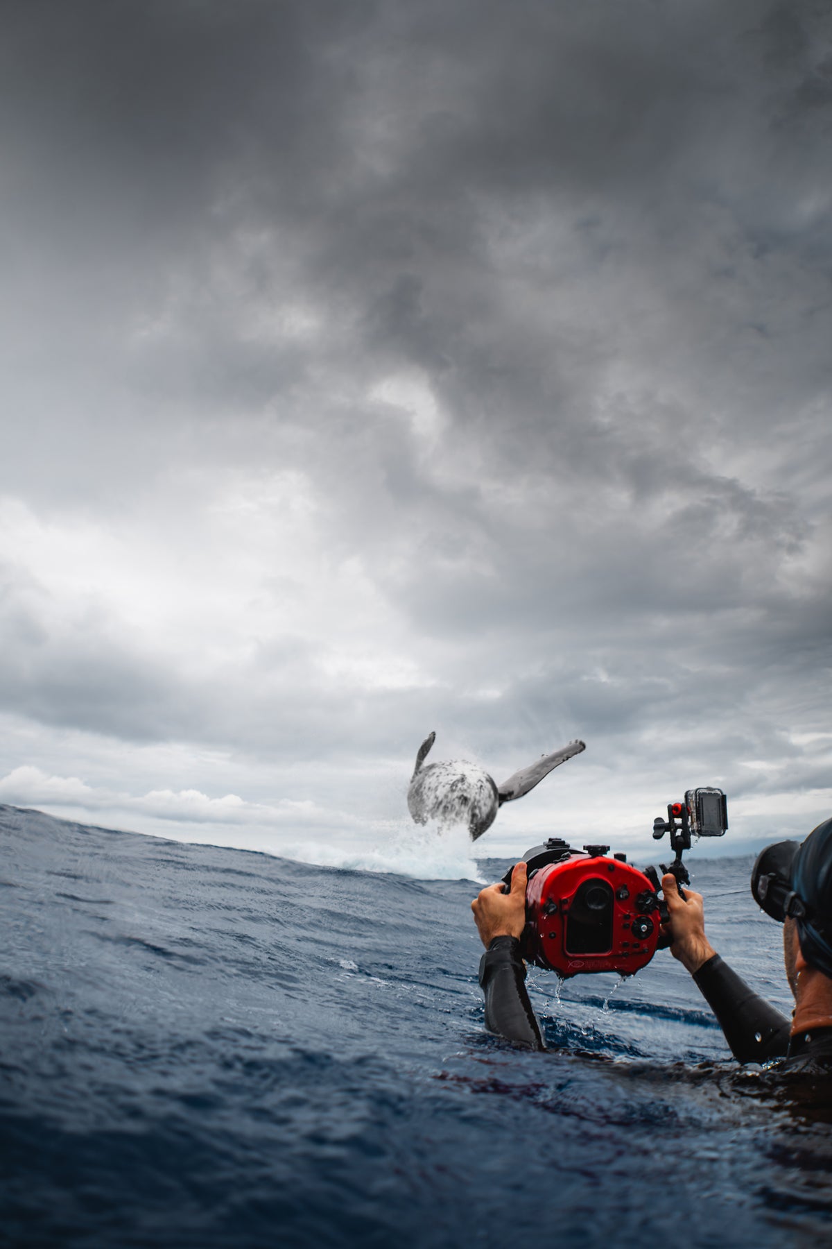 Underwater photography mentoring