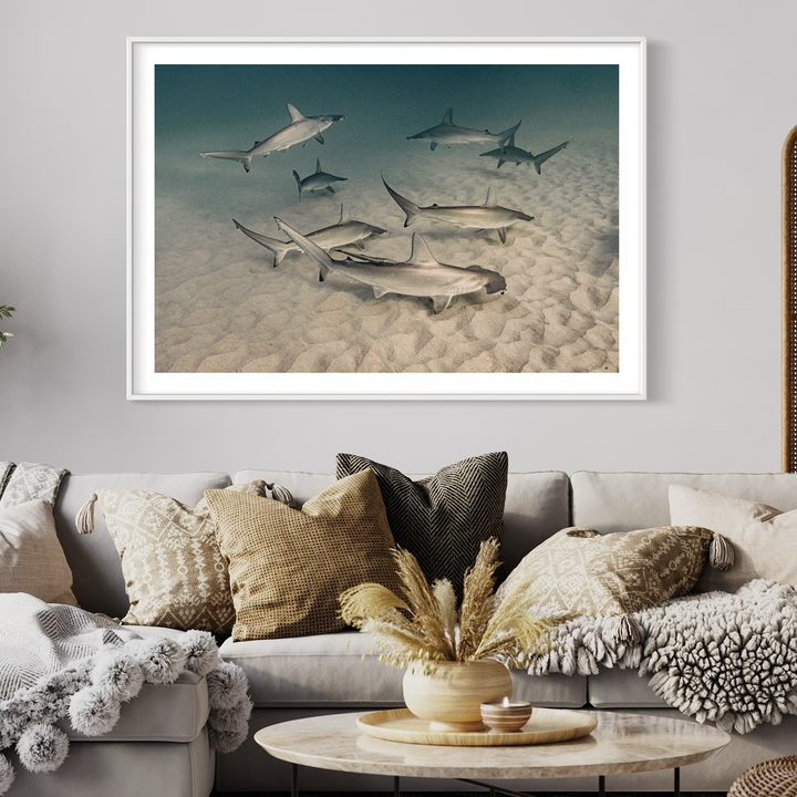 Shadows of Extinction